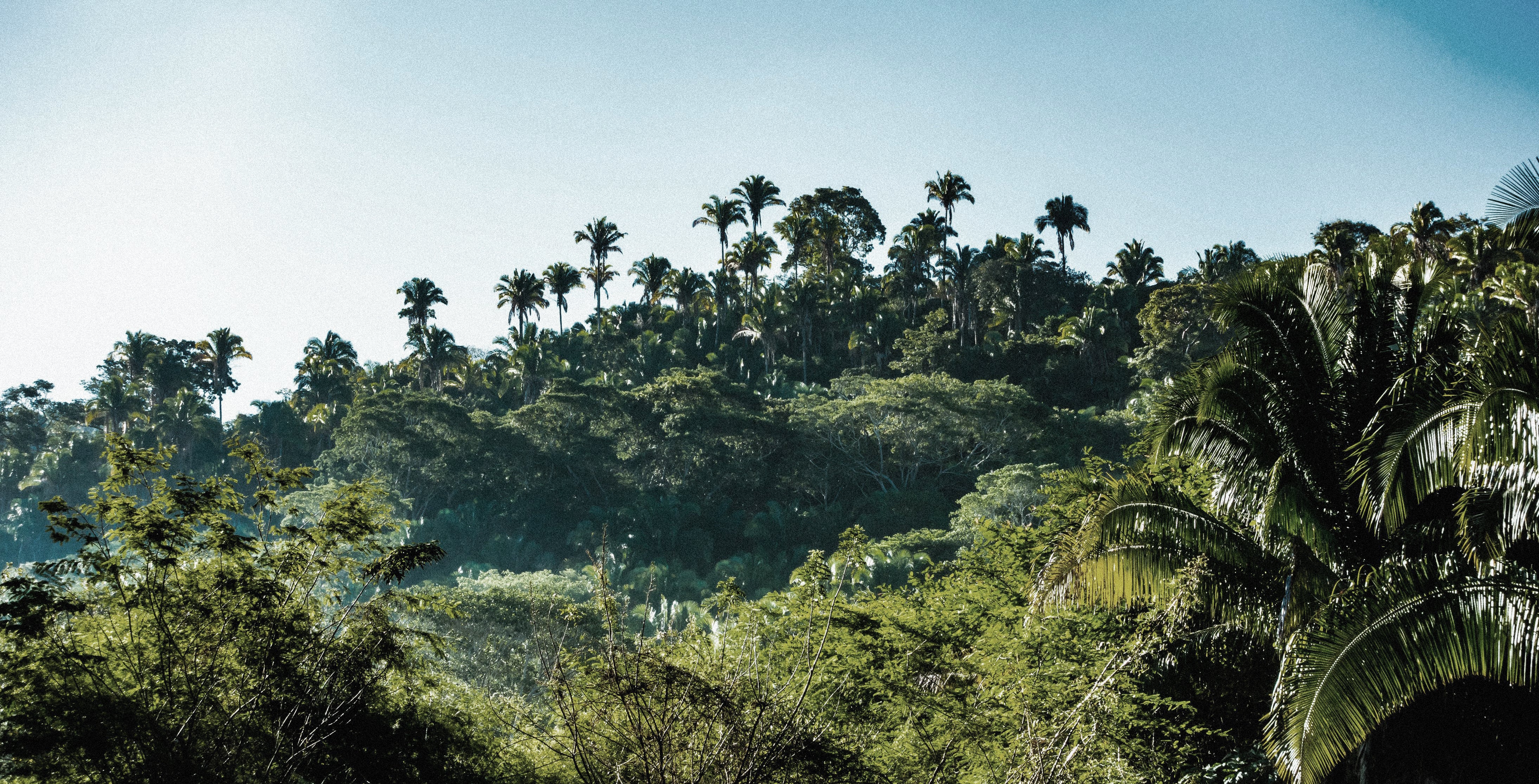 Pexels andrejcook 396714 copy